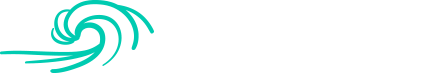 Momentum Marketing